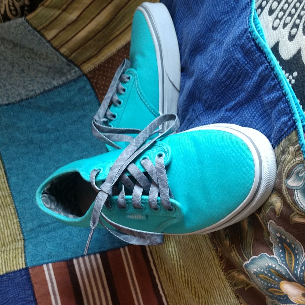Vans Teal Boarding Sneakers